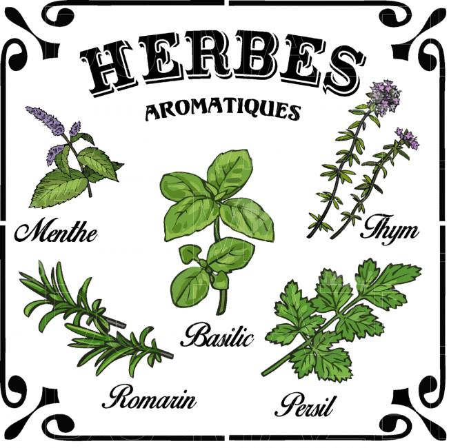 Pochoir Herbes Aromatiques