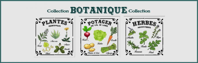 Pochoir Herbes Aromatiques