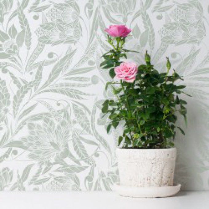 Fleurs Exotiques