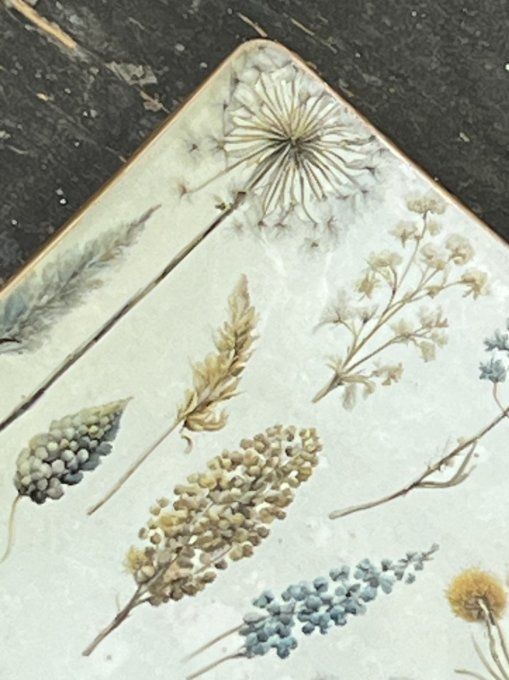 Papier de Riz Jardin Botanique R2558