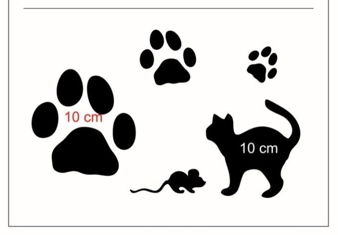 Pochoir Le Chat et La Souris