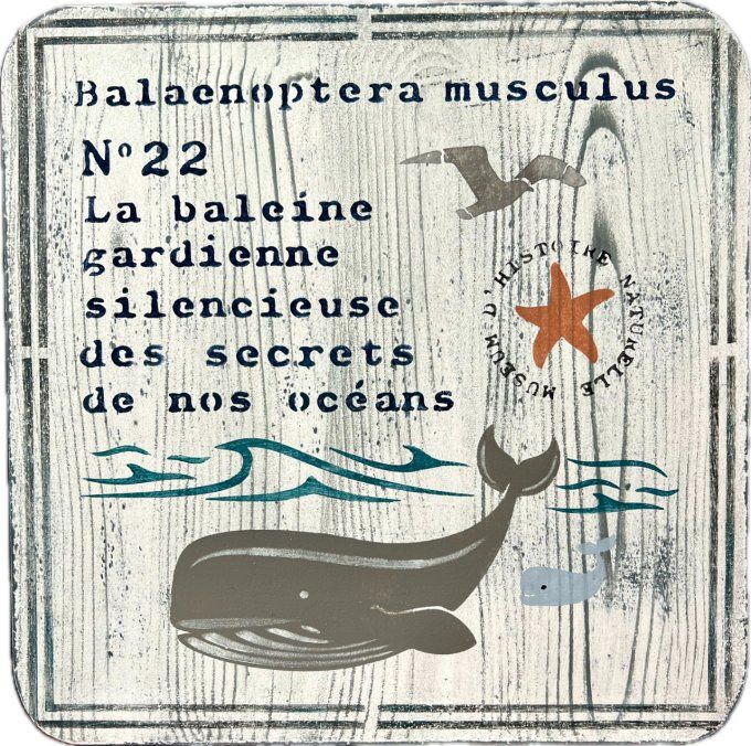 Pochoir Duo de Baleines