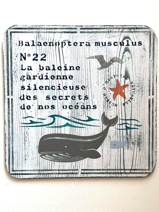 Pochoir Duo de Baleines
