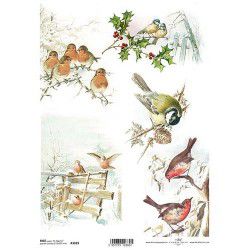 Papier de Riz Les Oiseaux de l'hiver