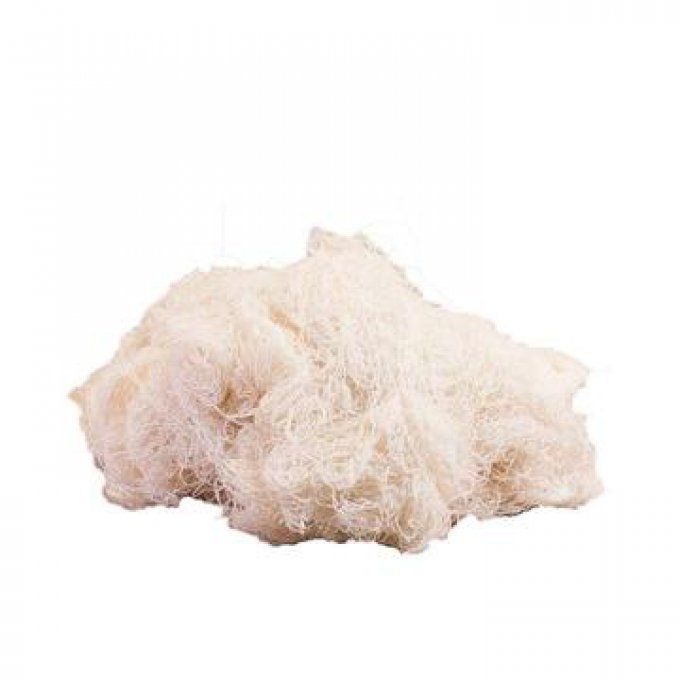 Mèche de Coton