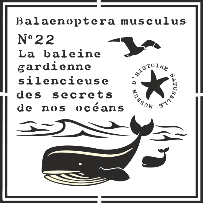 Pochoir Duo de Baleines