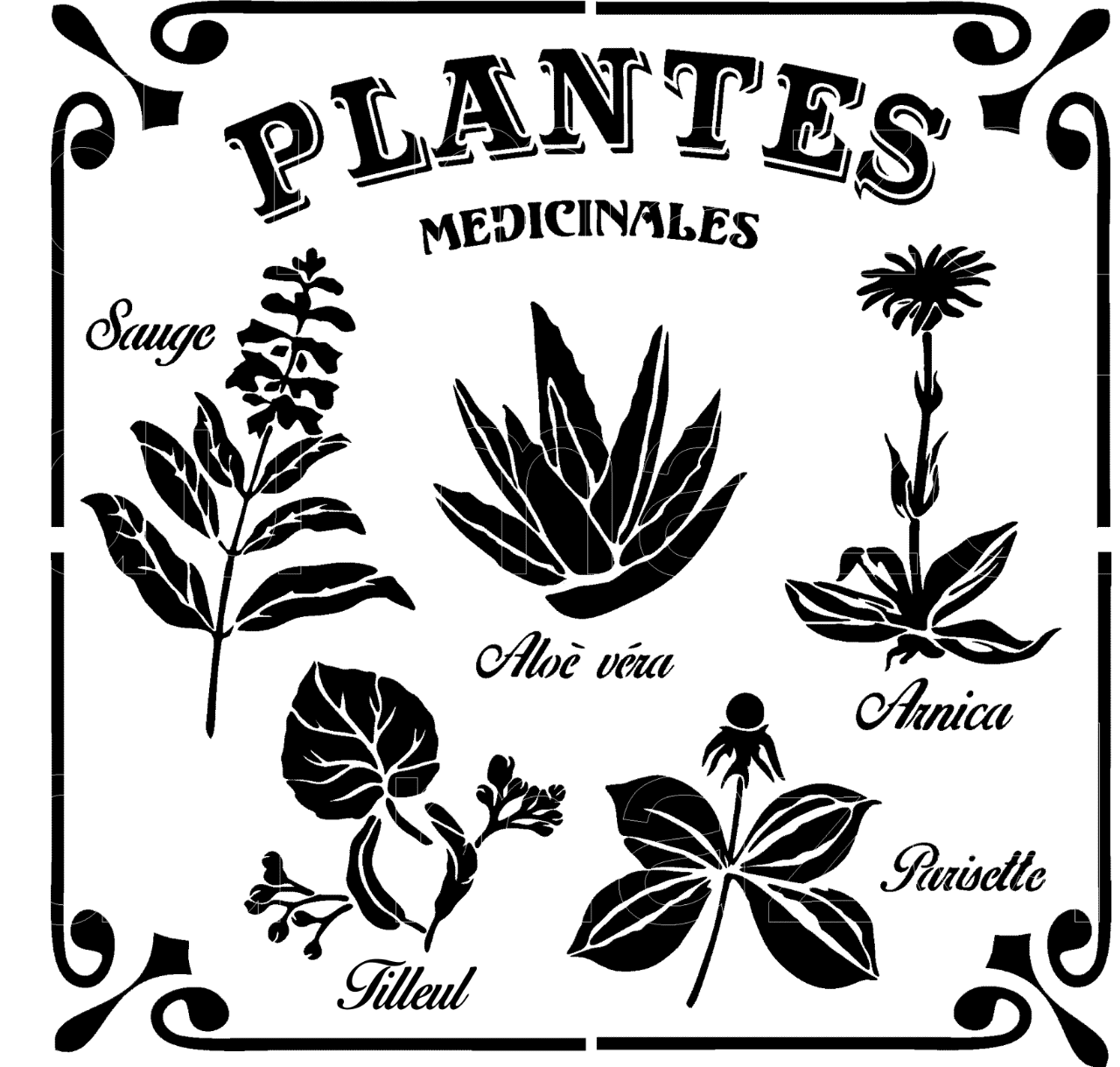Pochoir Plantes Médicinales
