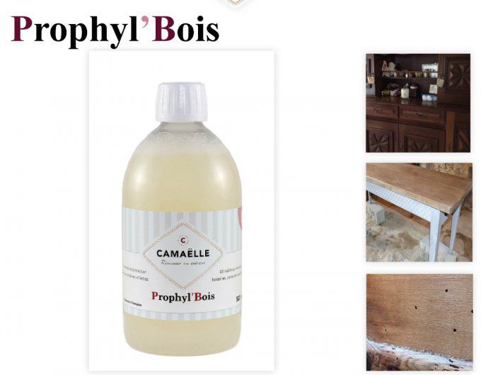 Prophyl'Bois