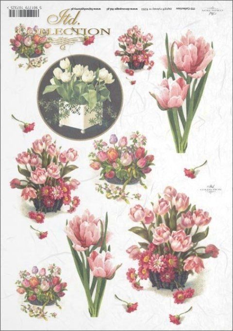 Papier de Riz Paniers de tulipes R0393