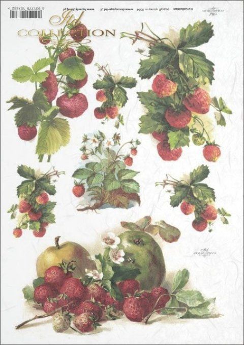 Papier de Riz Fraises des Bois R0394