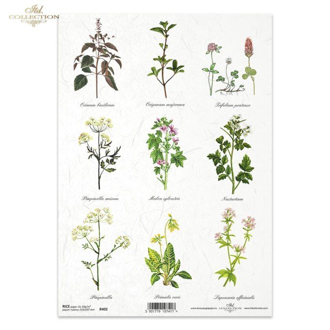 Papier de Riz Herbier R0402