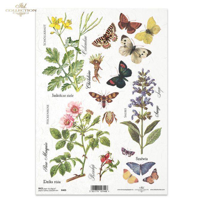 Papier de Riz Planche Botanique R0405