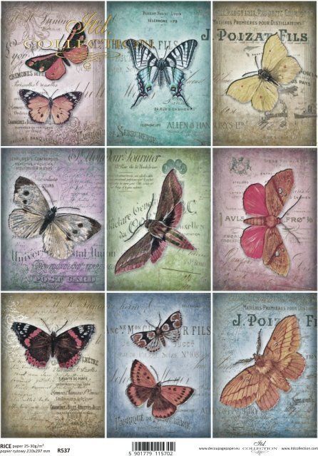 Papier de Riz Collection de Papillons R0537