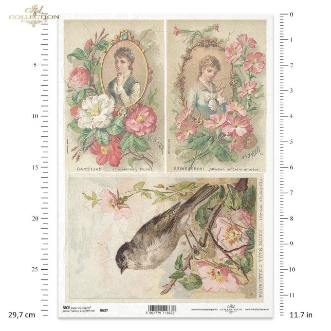 Papier de Riz Cartes Postales Rétro R0637