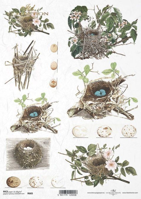 Papier de Riz Nids R0665