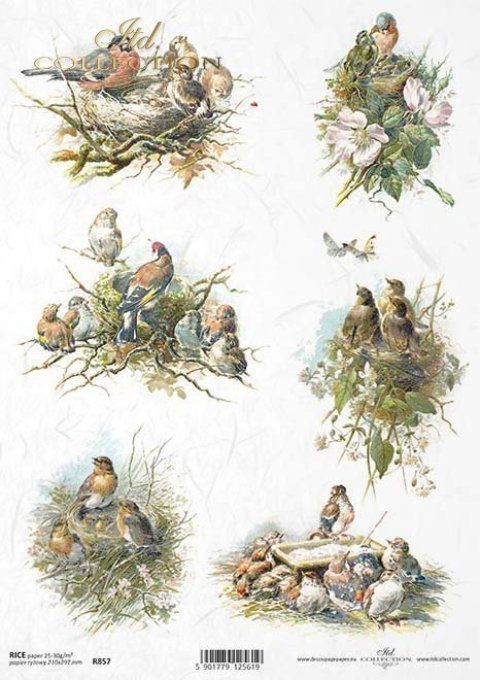 Papier de Riz L'oiseau fait son nid R0857
