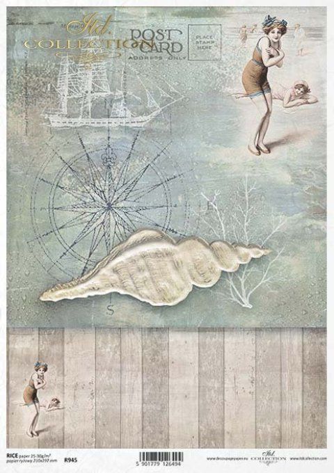 Papier de Riz Coquillage R0945