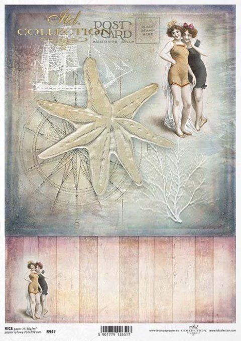 Papier de Riz Etoile de Mer  R0947