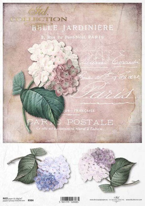 Papier de Riz Carte Postale Hortensias R0984