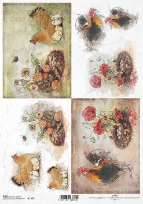 Papier de Riz Coqs et Coquelicots R1352