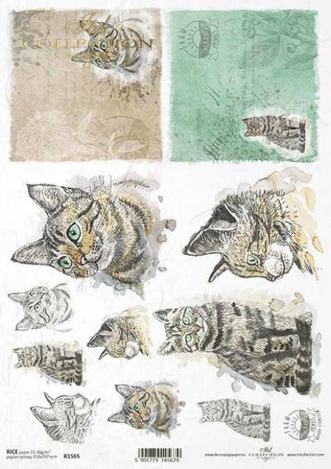 Papier de Riz Chats R1565