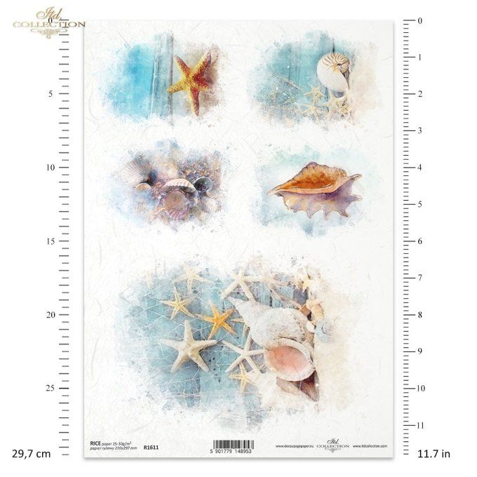 Papier de Riz Coquillages R1611