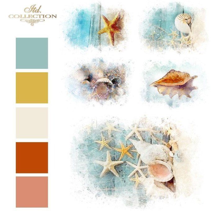 Papier de Riz Coquillages R1611