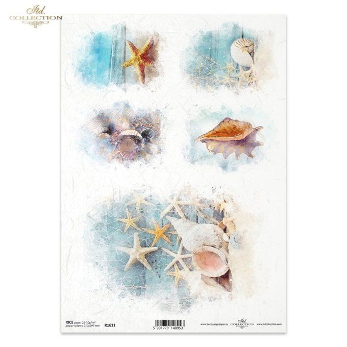 Papier de Riz Coquillages R1611