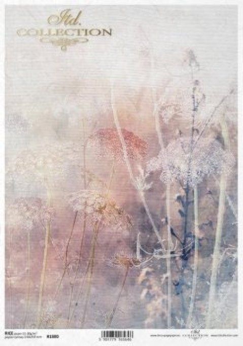 Papier de Riz  Aquarelle Fleurs Séchées R1880
