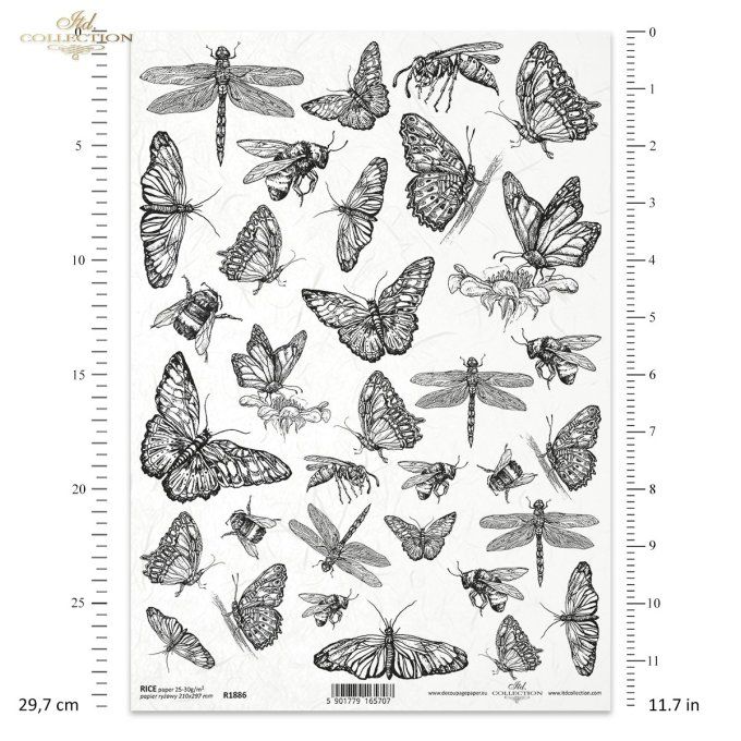 Papier de Riz Collection d'insectes R1886
