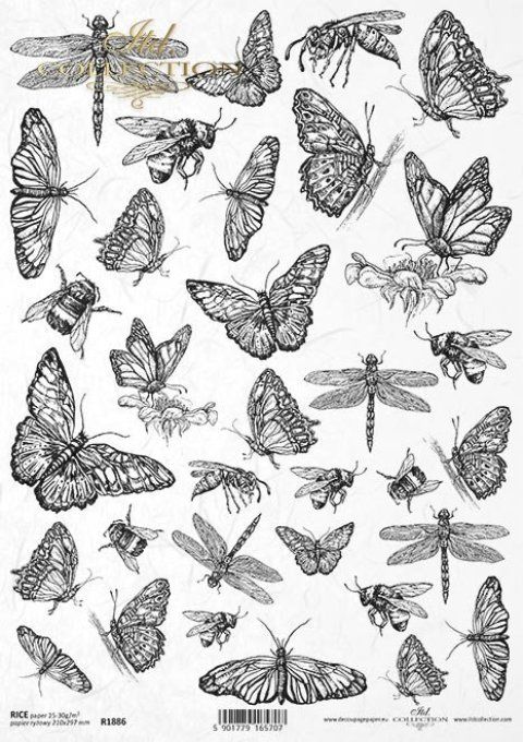 Papier de Riz Collection d'insectes R1886