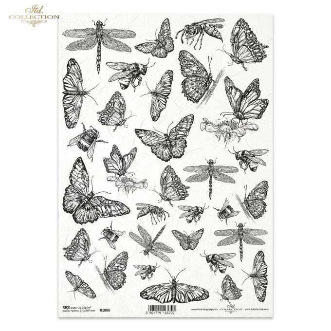 Papier de Riz Collection d'insectes R1886
