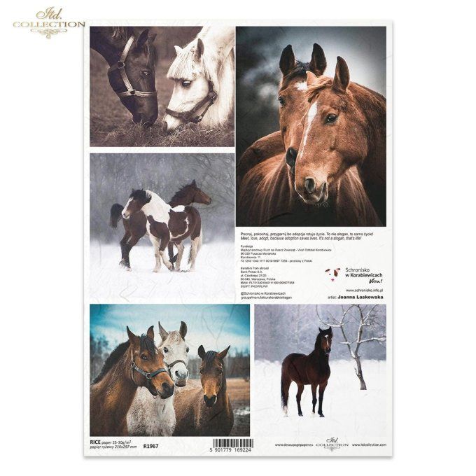 Papier de Riz Photos de chevaux R1967