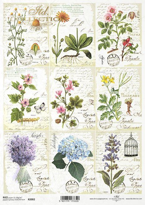 Papier de Riz Herbier miniature R2082 - Ateliergrisceleste