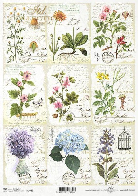 Papier de Riz Herbier miniature R2082