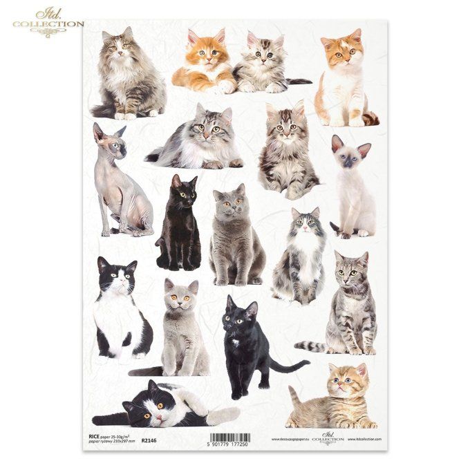 Papier de Riz Collection de Chats R2146