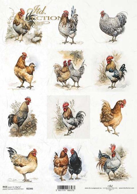 Papier de Riz Etiquettes Poules et Coqs R2346