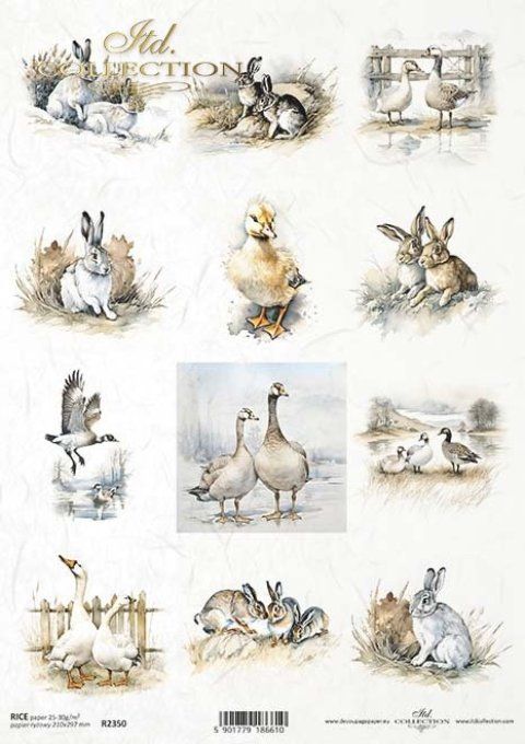 Papier de Riz Etiquettes lapins et Canard R2350
