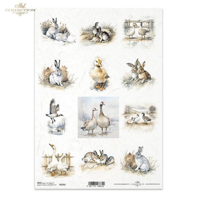 Papier de Riz Etiquettes lapins et Canard R2350