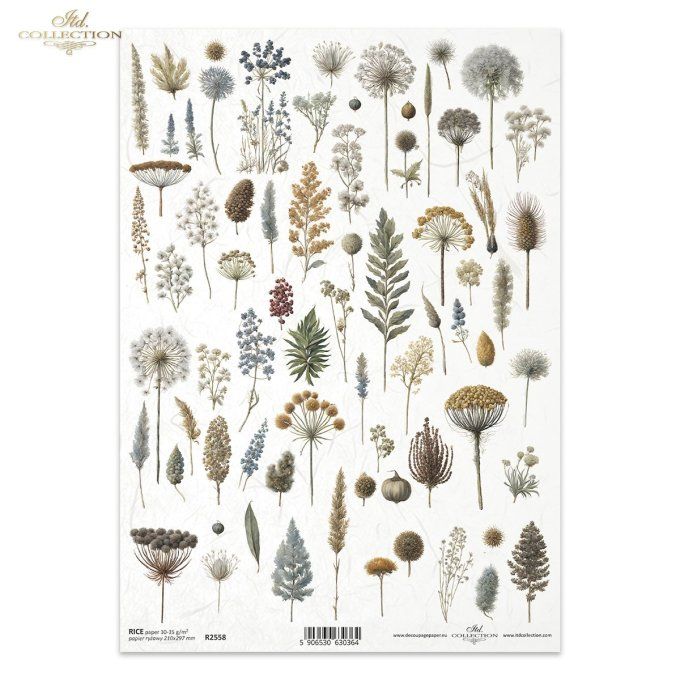 Papier de Riz Jardin Botanique R2558