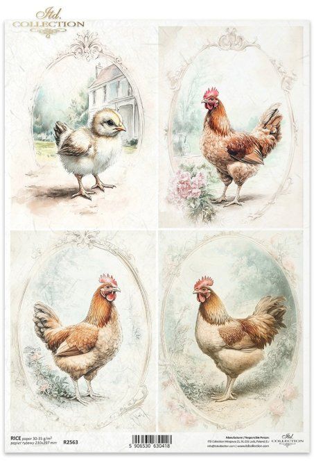 Papier de Riz Poules Romantiques R2563