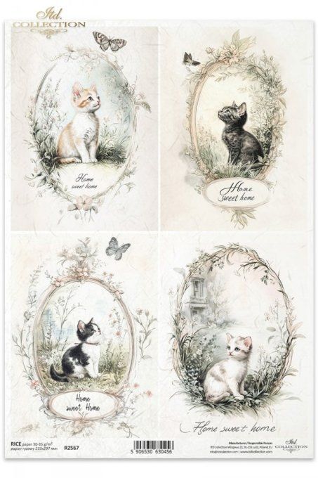 Papier de Riz Chatons Home Sweet Home R2567