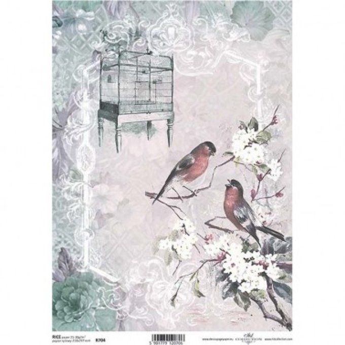 Papier de Riz Rouge-Gorge R0704