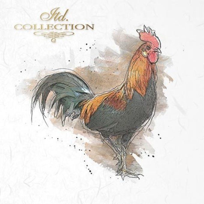 Papier de Riz Famille Coq x 6  RSM004