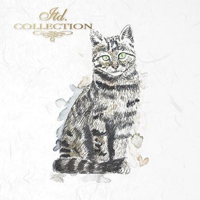 Papier de Riz Comme Chat et Chien x 6 RSM006