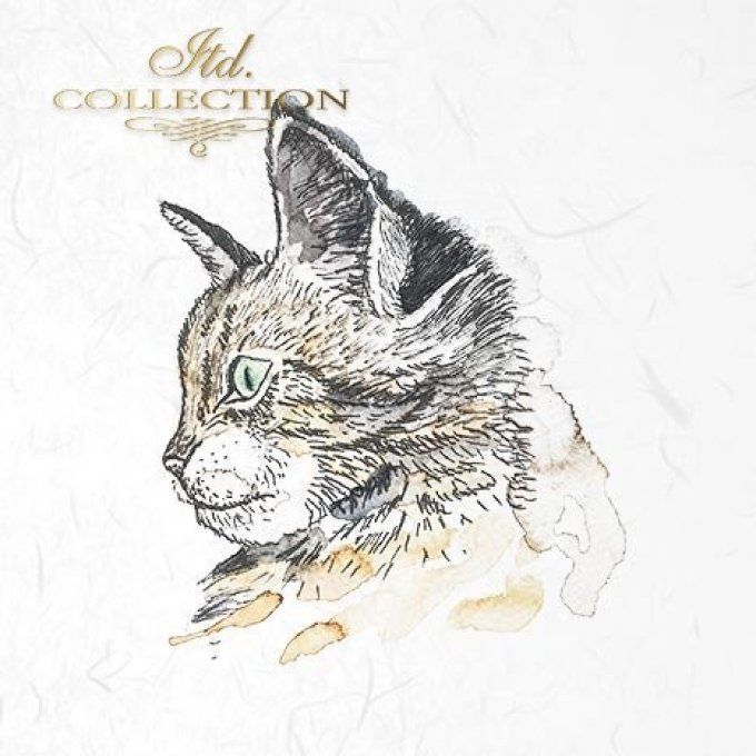 Papier de Riz Comme Chat et Chien x 6 RSM006