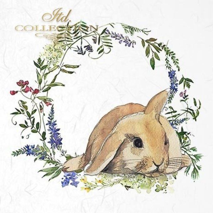 Papier de Riz Lapin et Couronne x 6 RSM039