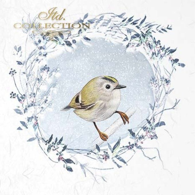 Papier de Riz Les oiseaux du Jardin x 6 RSM050