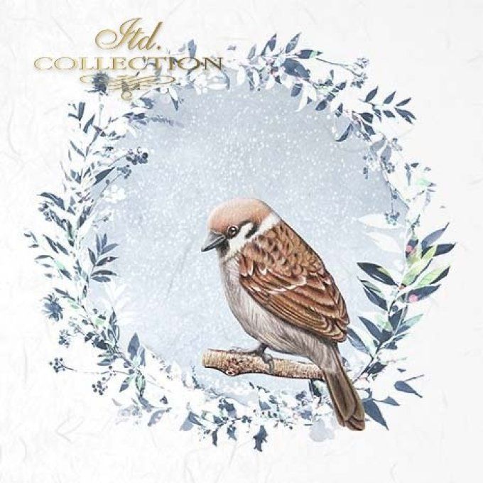Papier de Riz Les oiseaux du Jardin x 6 RSM050