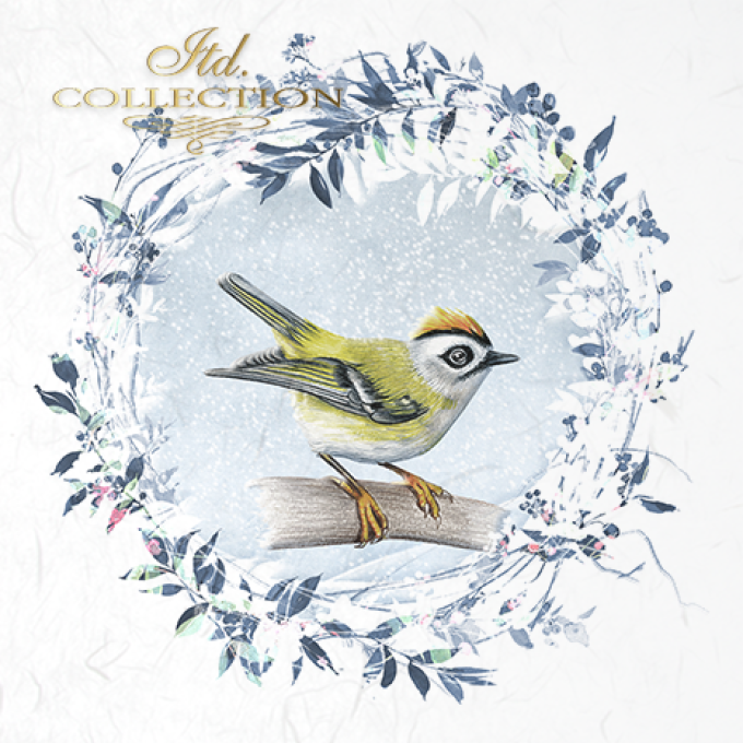 Papier de Riz Les oiseaux du Jardin x 6 RSM050